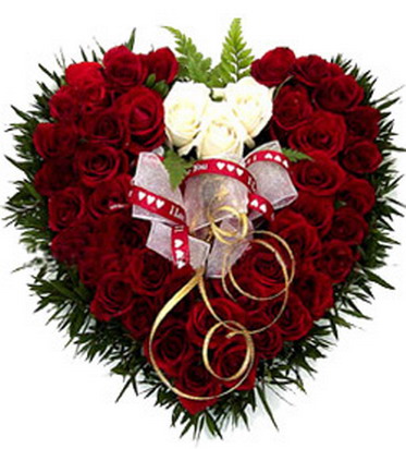 <font color=#F73809 size=4><b><u>[ף] װĹ2007տ<