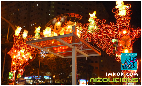 nzx29.jpg